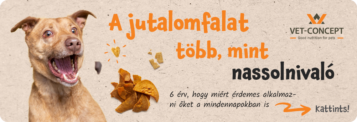 6 érv, hogy miért érdemes alkalmazni őket